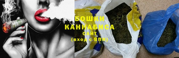 прущие грибы Бронницы