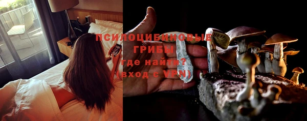прущие грибы Бронницы