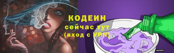 прущие грибы Бронницы
