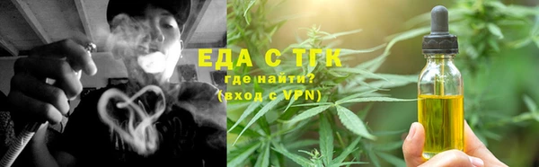 эйфоретик Няндома
