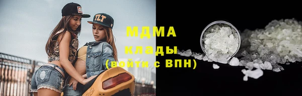 прущие грибы Бронницы