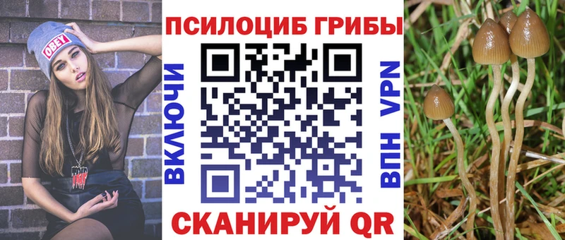 даркнет сайт  Красноармейск  Галлюциногенные грибы ЛСД 